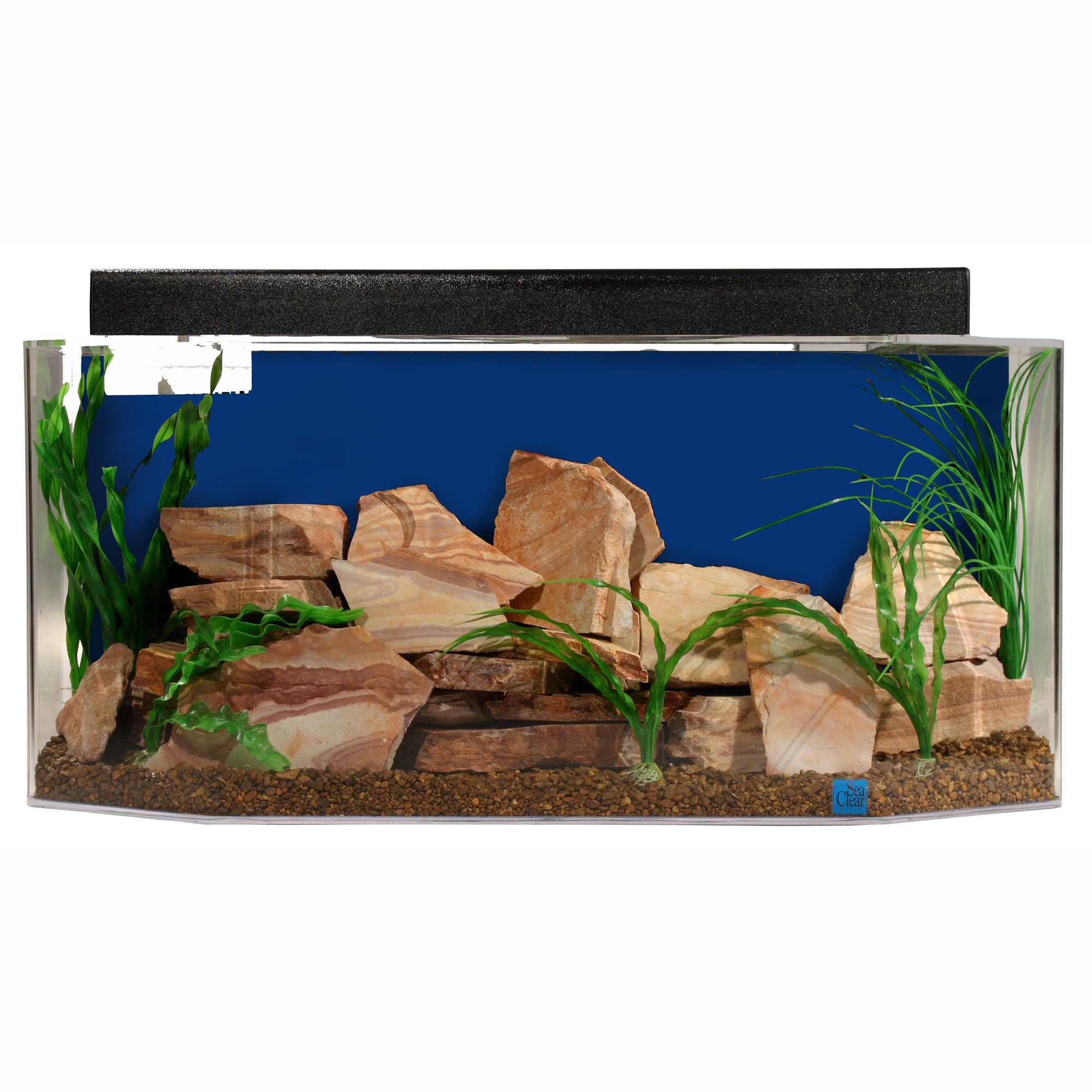 petsmart hexagon fish tank