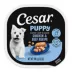 Cesar® Classics Puppy Wet Dog Food - Loaf, 3.5 Oz. image thumbnail 1
