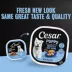 Cesar® Classics Puppy Wet Dog Food - Loaf, 3.5 Oz. image thumbnail 2