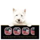 Product Cesar Entrées Classic Loaf in Sauce Adult Dog Wet Food - Filet Mignon