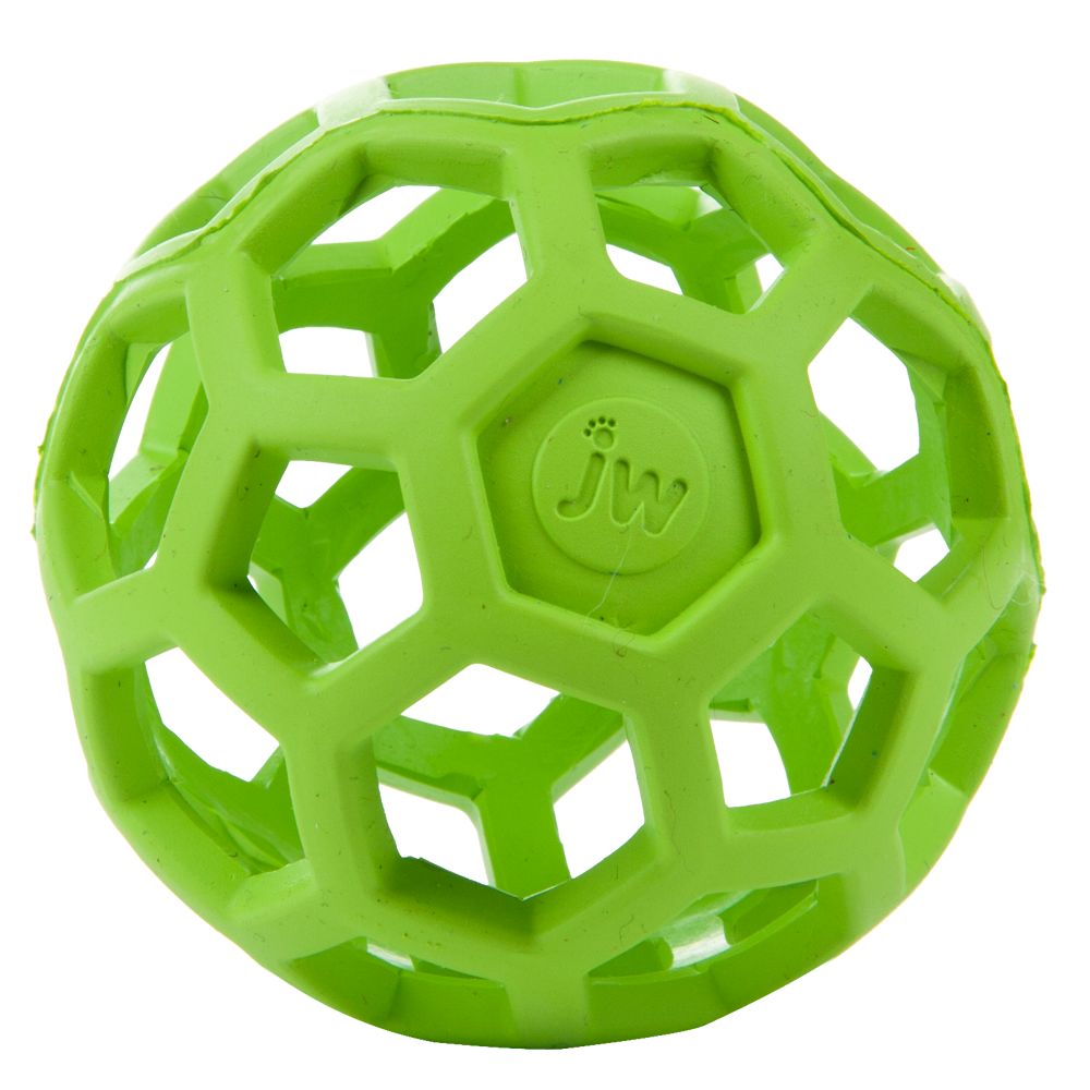 green dog ball