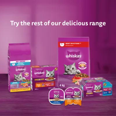 Product Whiskas Adult Dry Cat Food Seafood Selections - Salmon & Shrimp, High Protein