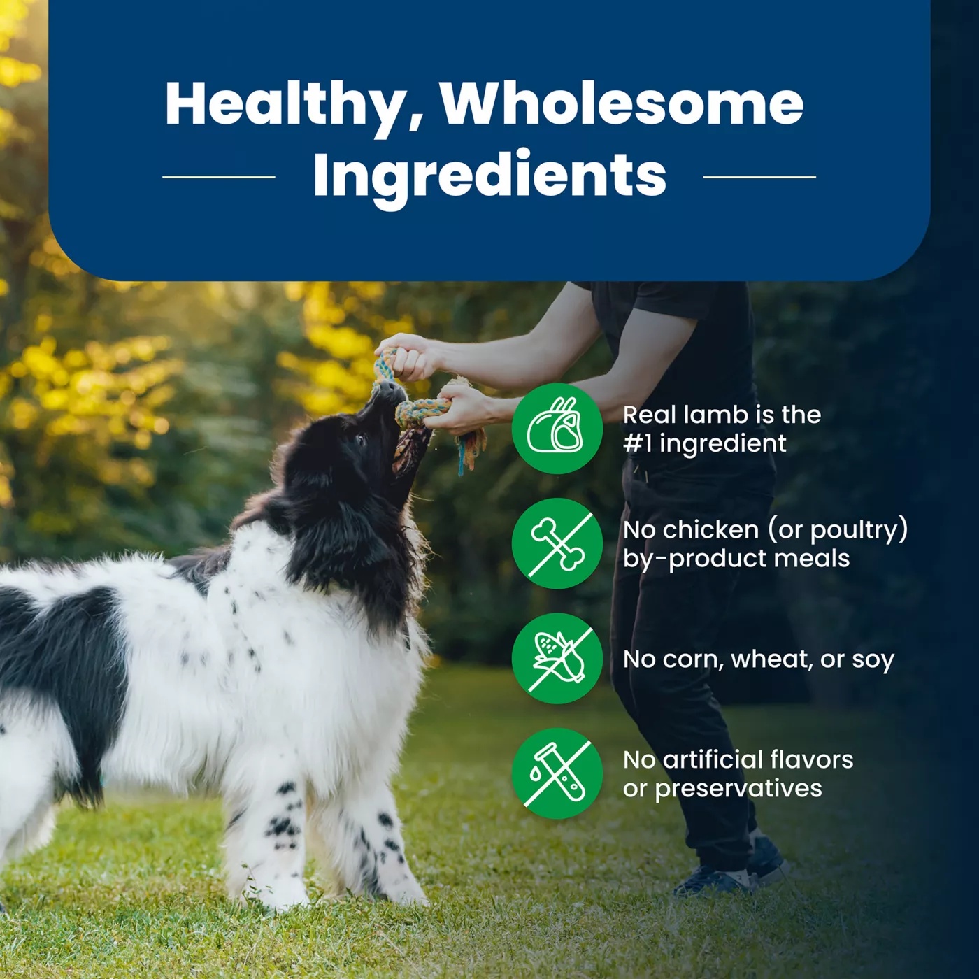Product Blue Buffalo® Life Protection Formula™ Adult Dry Dog Food - Natural, Lamb
