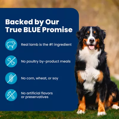 Blue Buffalo Life Protection Formula Lamb & Brown Rice Adult Dry Dog Food - Image 8