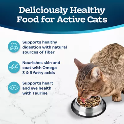 Product Blue Buffalo Tastefuls  Adult Dry Cat Food - Natural, Chicken