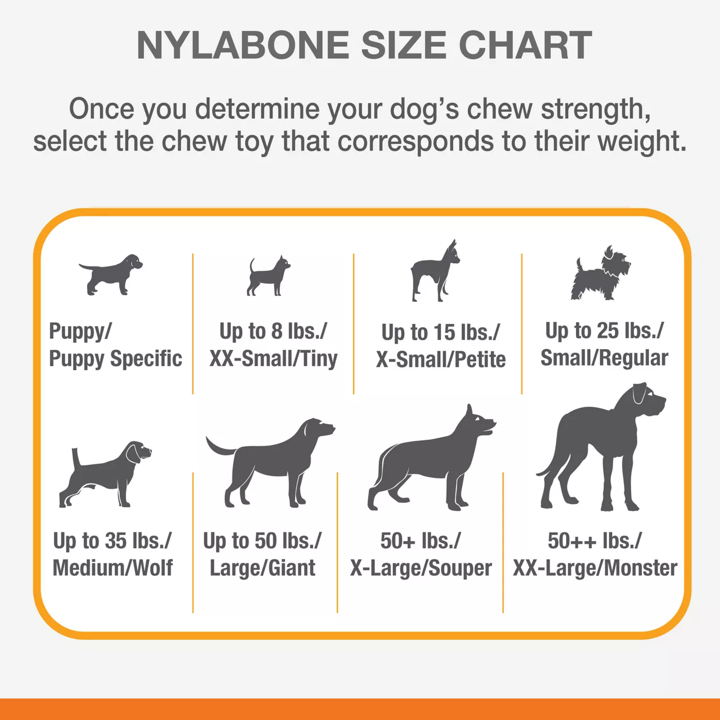 Product Nylabone® DuraChew® Double Action Chew Dog Toy