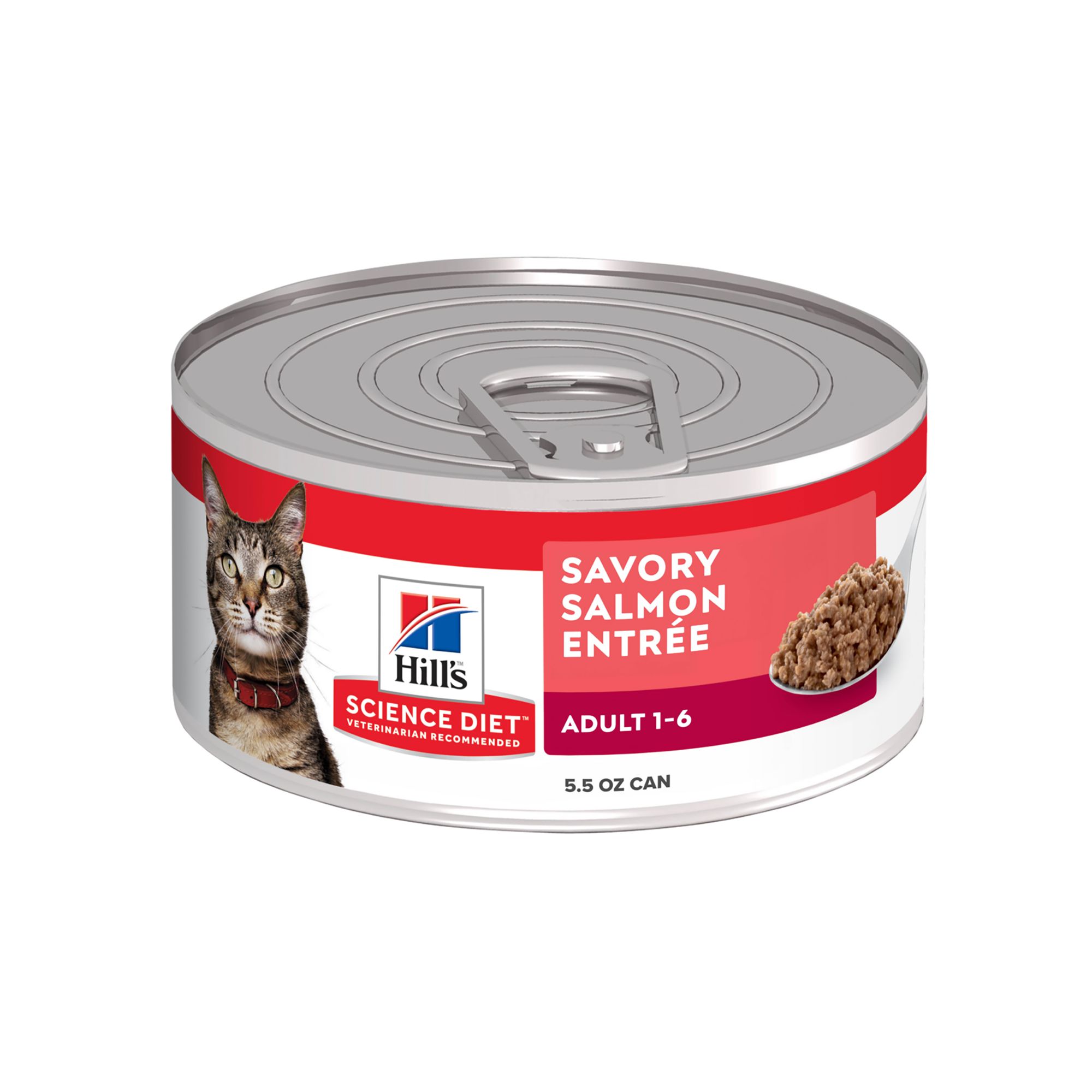 Highest quality canned cat food best sale