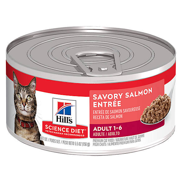 Hill's® Science Diet® Entrée Adult Cat Food | cat Wet Food ...