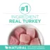 Purina® ONE® +Plus Sensitive Skin & Sensitive Stomach Adult Cat Dry Food - Turkey image thumbnail 2