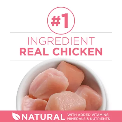Product Purina ONE® +Plus Healthy Kitten Dry Cat Food - Chicken, High-Protein, Natural