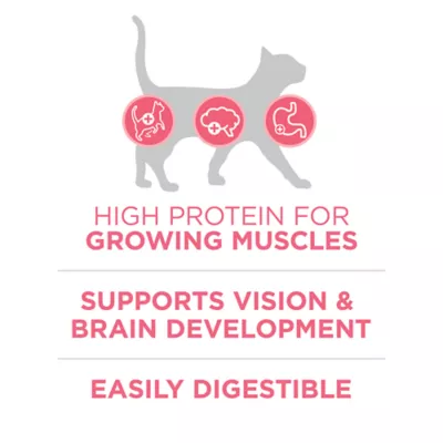 Product Purina ONE® +Plus Healthy Kitten Dry Cat Food - Chicken, High-Protein, Natural