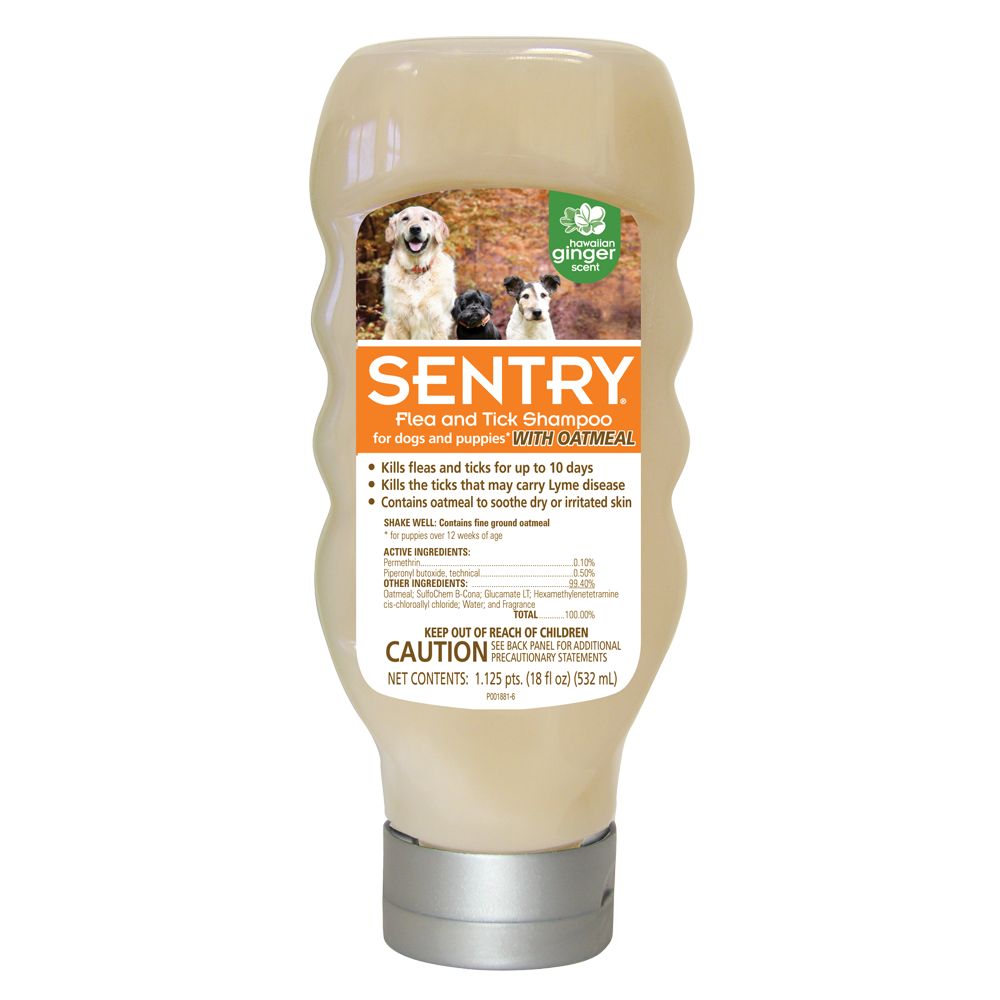 Sentry flea and shop tick shampoo petsmart