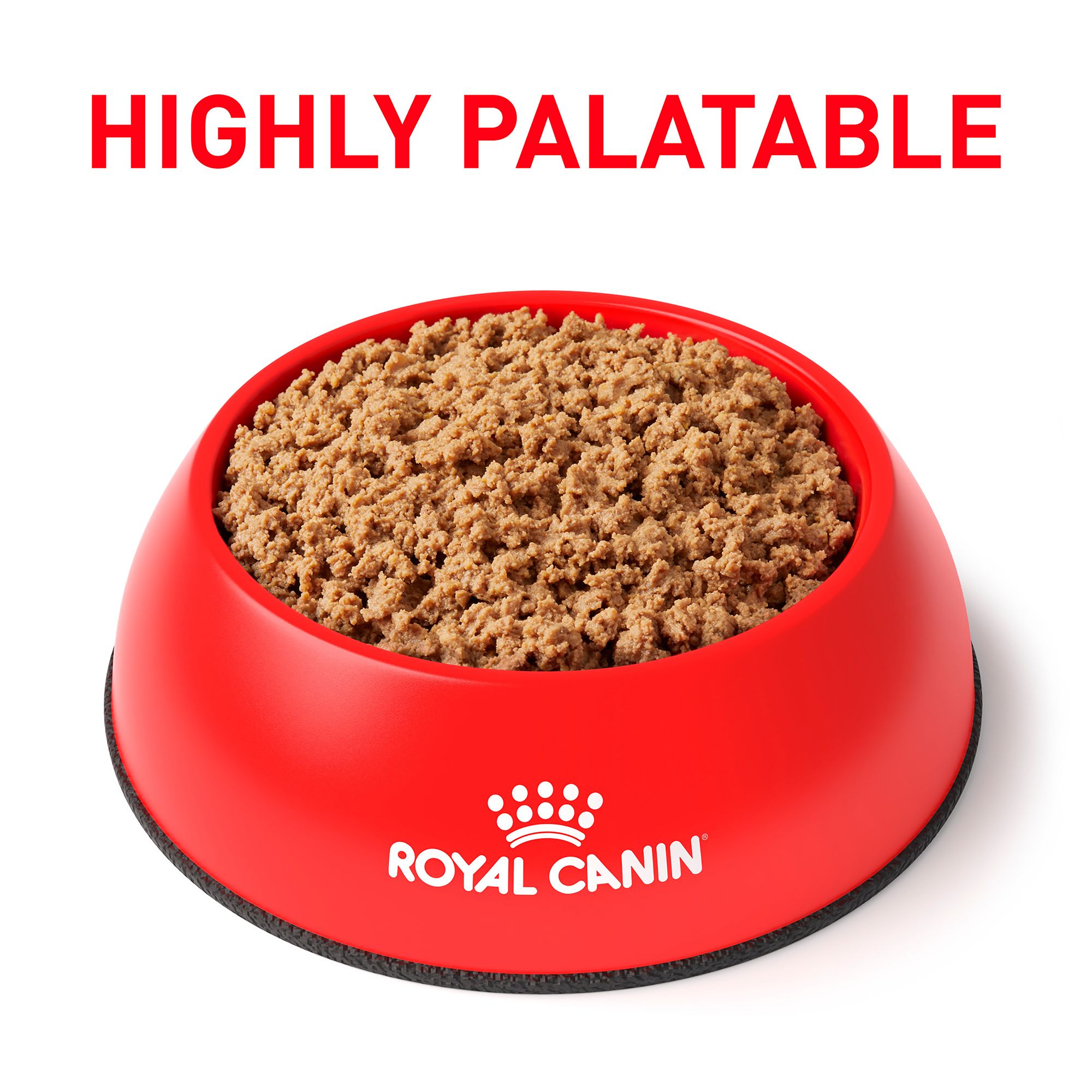 royal canin ingredient