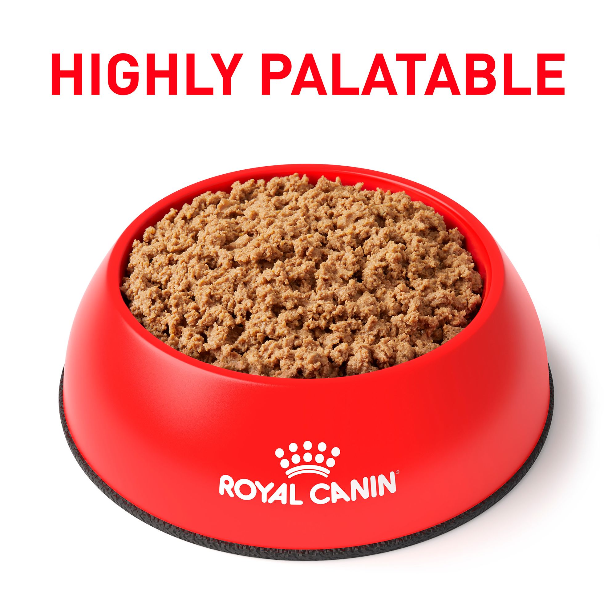 royal canin gastrointestinal low fat wet food