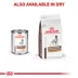 Royal Canin Gastrointestinal Low Fat Loaf in Sauce Adult Dog Wet Food - 13.5 oz image thumbnail 5