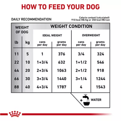 Product Royal Canin Gastrointestinal Low Fat Loaf in Sauce Adult Dog Wet Food - 13.5 oz