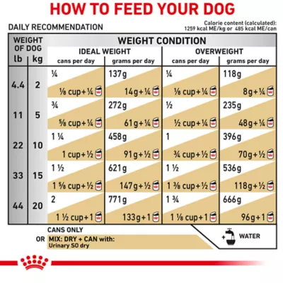 Product Royal Canin® Veterinary Diet Canine Urinary SO Adult Dog Loaf in Sauce Wet Food  13.5 oz can