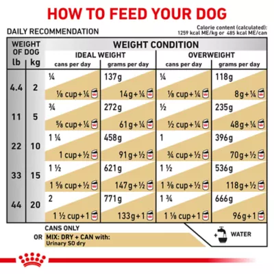 Product Royal Canin® Veterinary Diet Canine Urinary SO Adult Dog Loaf in Sauce Wet Food  13.5 oz can