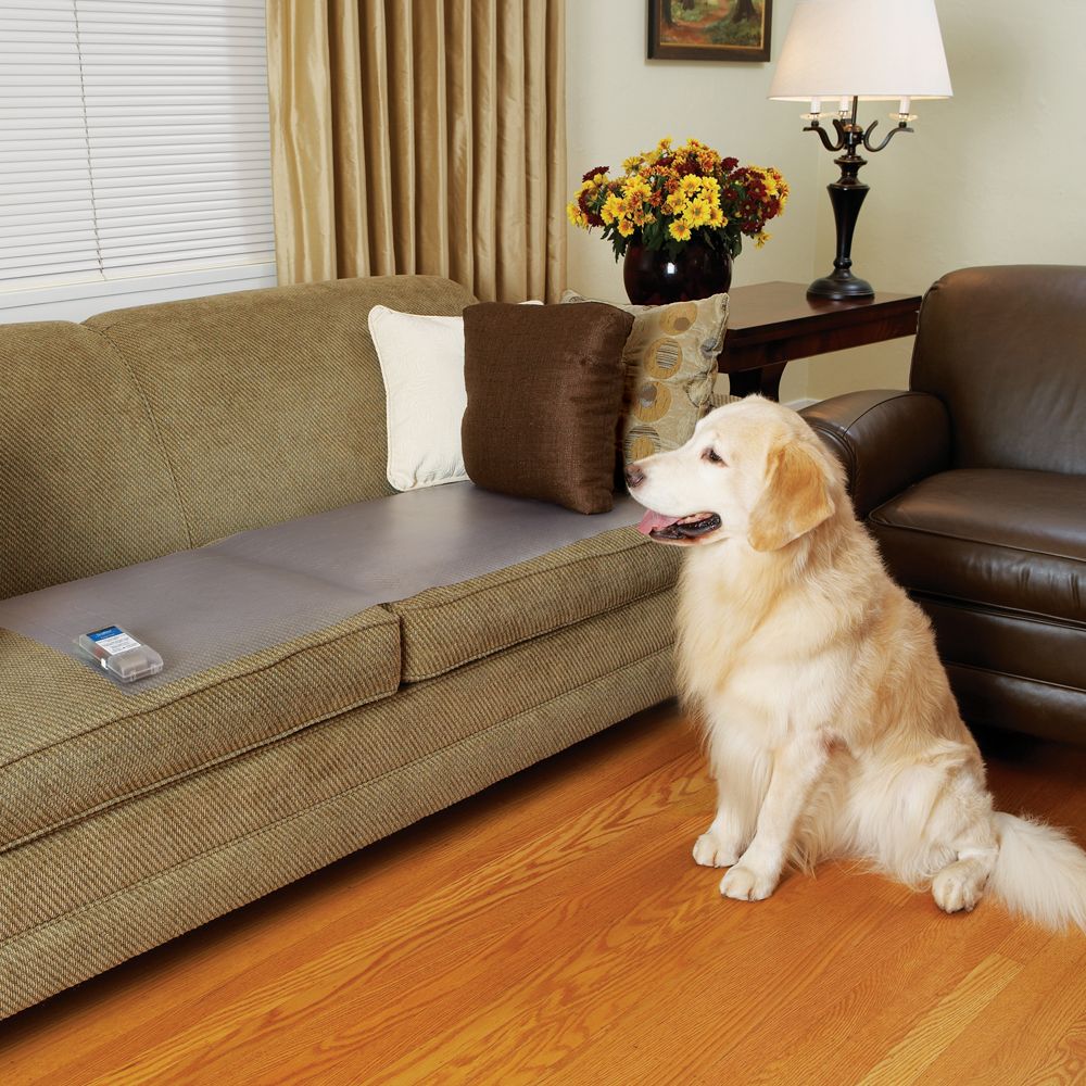 Keep dog store off couch mat