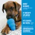KONG® Puppy Goodie Bone™ Treat Dispensing Puppy Toy(COLOR VARIES) image thumbnail 7