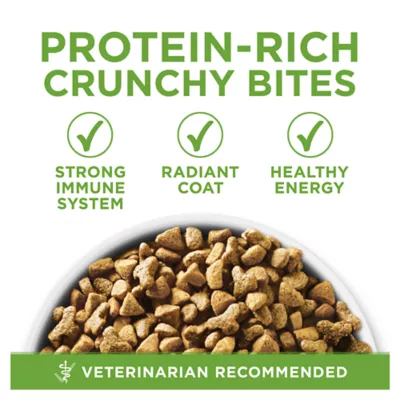 Product Purina ONE® +Plus Indoor Advantage Adult Cat Dry Food - Turkey, Natural, High-Protein
