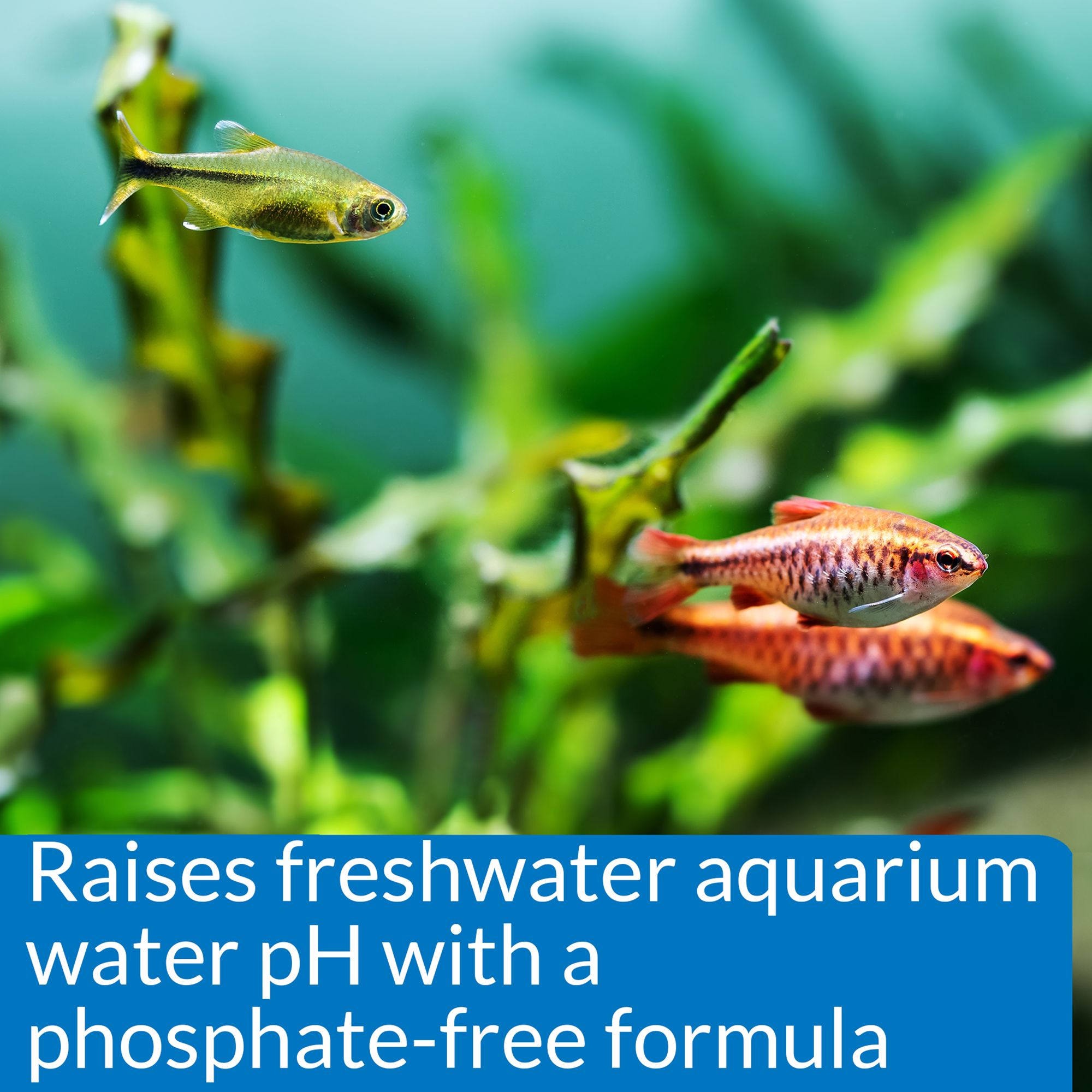API® pH Up Adjuster Freshwater Aquarium Water Conditioner for Aquarium pH Control - thumbnail 3