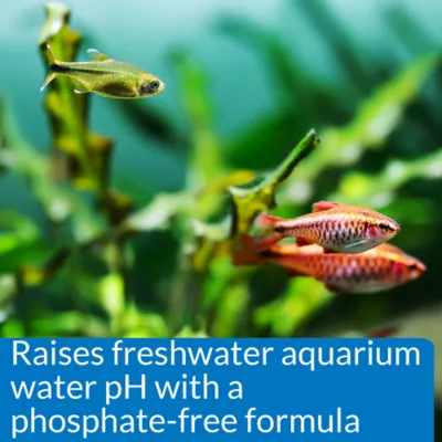 Product API® pH Up Adjuster Freshwater Aquarium Water Conditioner