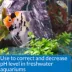 API® pH Down Adjuster Aquarium Water Conditioner image thumbnail 3