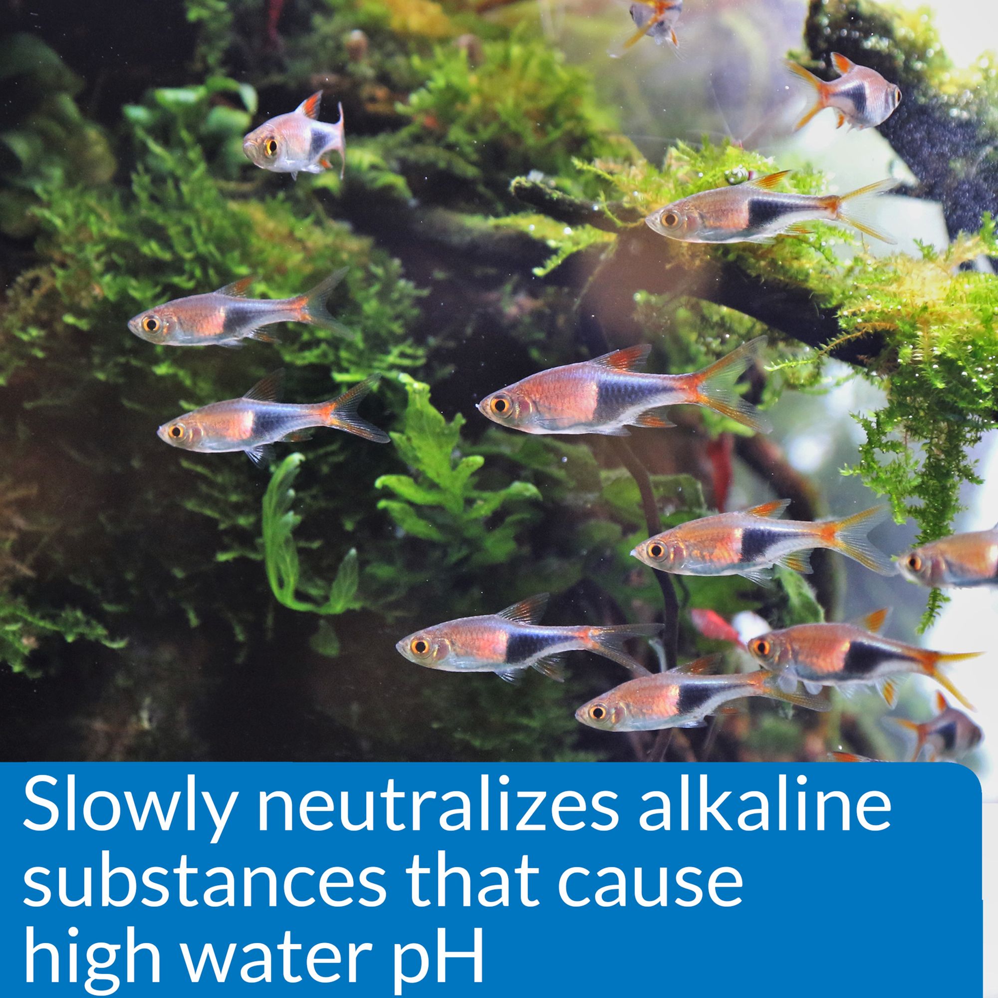 API® pH Down Adjuster Aquarium Water Conditioner for Aquarium pH Control - thumbnail 4