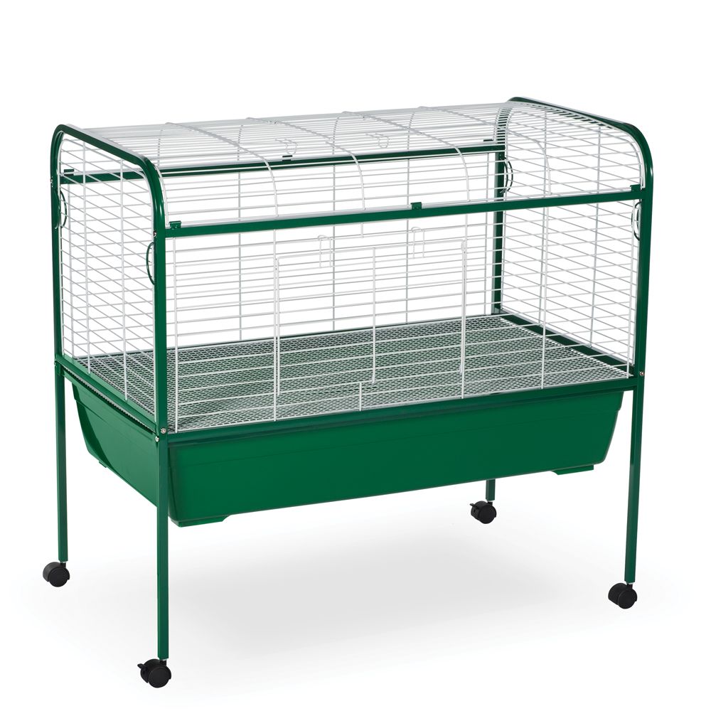 petsmart rabbit cage