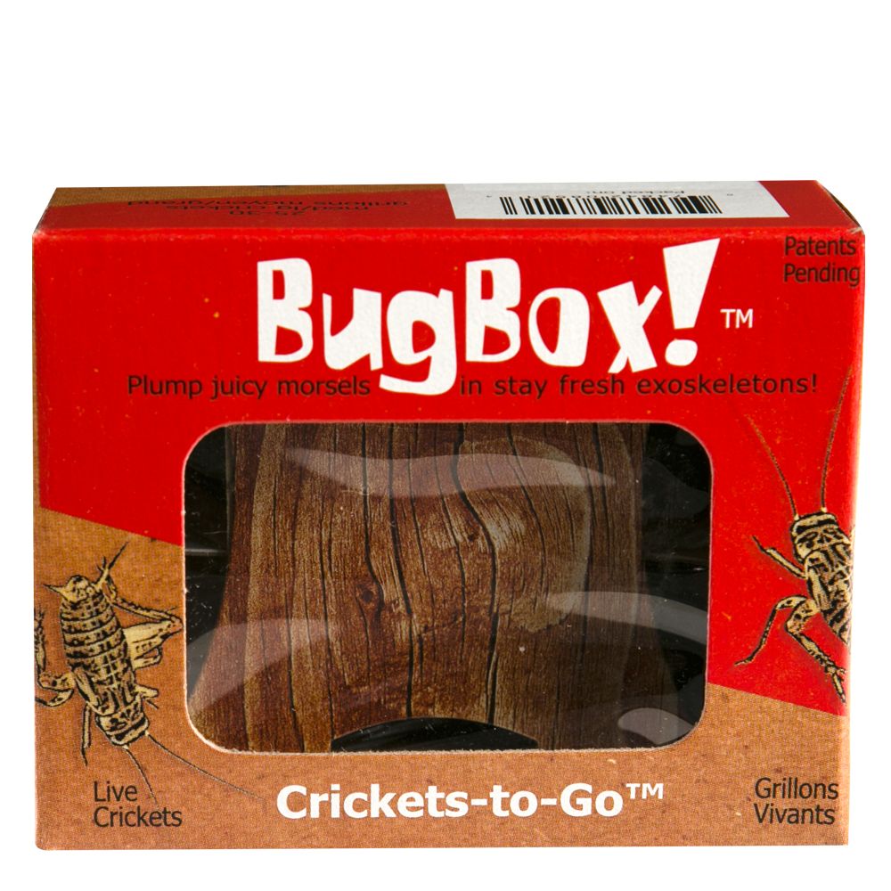 Bugbox Trade Live Crickets Reptile Food Petsmart