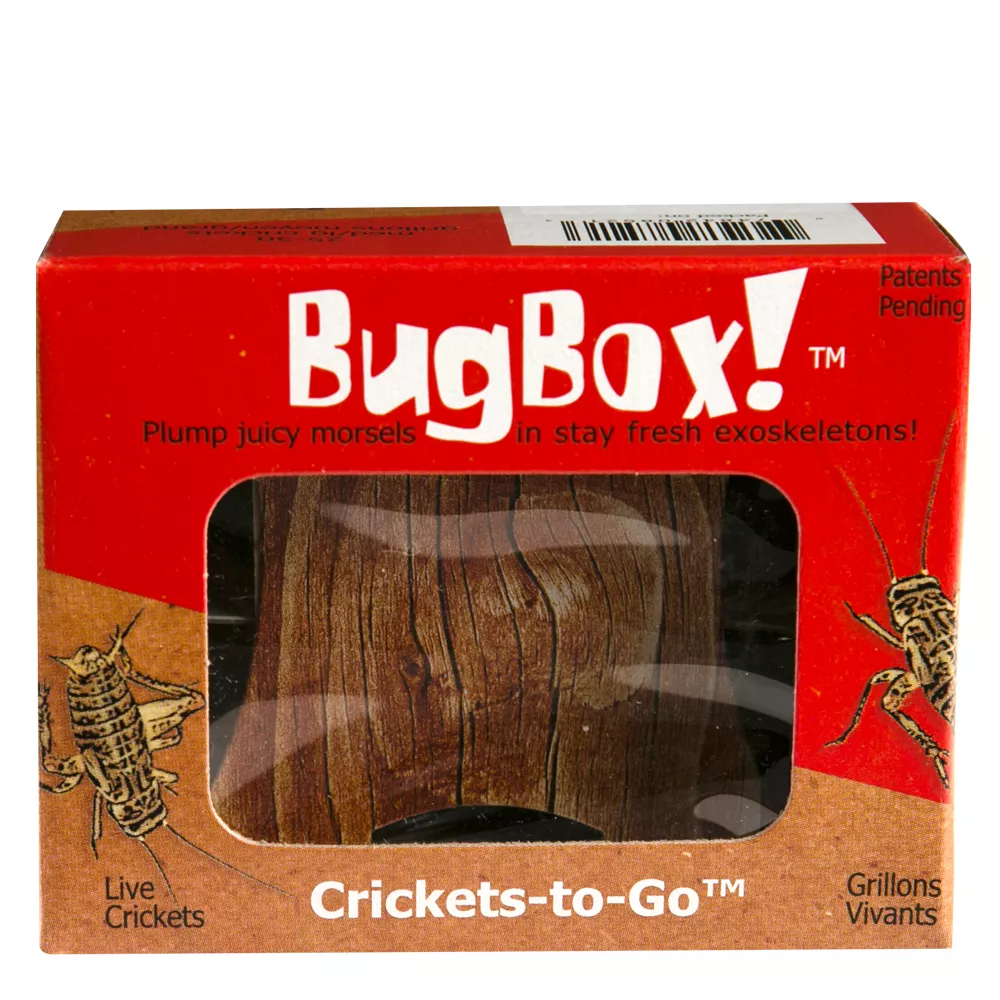 BugBox!&trade; Live Crickets