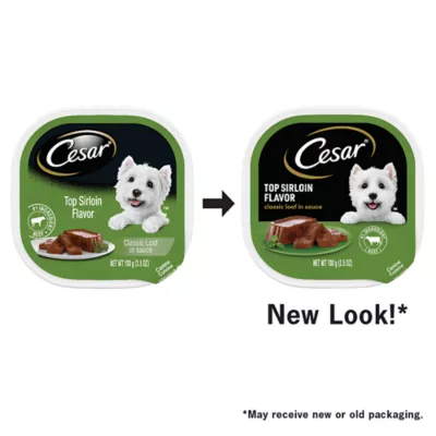 Product Cesar® Classics  Adult Wet Dog Food - Loaf, 3.5 Oz.