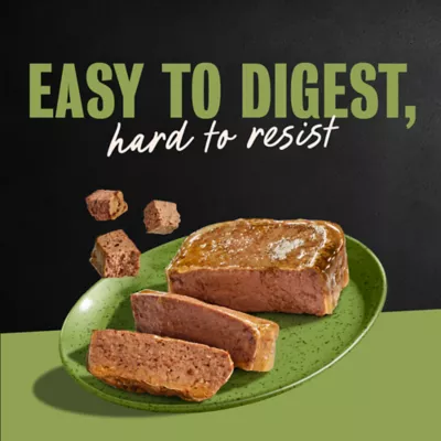 Cesar® Classics  Adult Wet Dog Food - Loaf, 3.5 Oz. - Image 9