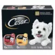 Product CESAR Classic Loaf In Sauce Entrées Adult Wet Dog Food Variety Pack, 12ct