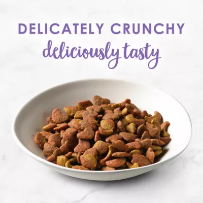 Product Fancy Feast®  All Life Stages Cat Dry Food - , With Vitamins