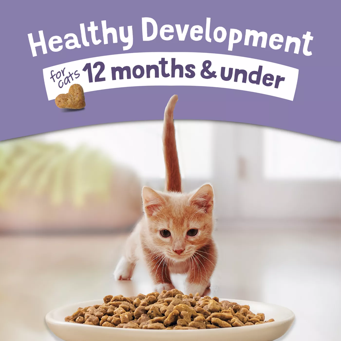 Kitten chow naturals hotsell