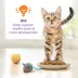 Purina® Kitten Chow® Kitten Cat Dry Food - Chicken, Healthy Development image thumbnail 3