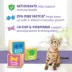 Purina® Kitten Chow® Kitten Cat Dry Food - Chicken, Healthy Development image thumbnail 7