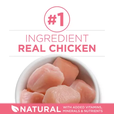 Product Purina ONE® +Plus Healthy Kitten Dry Cat Food - Chicken, High-Protein, Natural