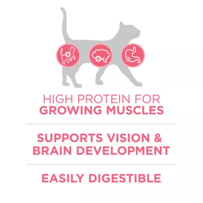 Product Purina ONE® +Plus Healthy Kitten Dry Cat Food - Chicken, High-Protein, Natural