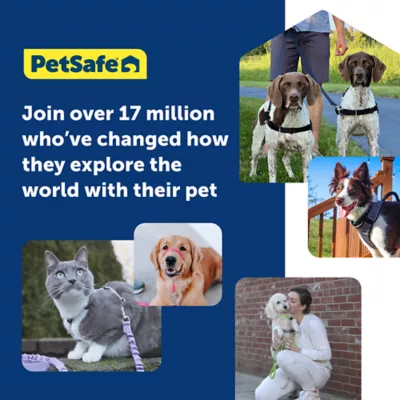 Petsmart easy walk hotsell