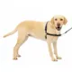 Product PetSafe® Easy Walk Dog Harness - No Pull Dog Harness -  Teal