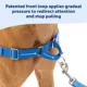 Product PetSafe® Easy Walk Dog Harness - No Pull Dog Harness -  Teal