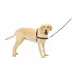 PetSafe® Easy Walk Harness, No Pull Dog Harness image thumbnail 7