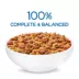 Purina Beneful® Healthy Puppy Puppy Dog Dry Food - Chicken, With Vitamins, No Artificial Flavors image thumbnail 3
