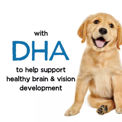 Product Purina Beneful® Healthy Puppy Puppy Dog Dry Food - Chicken, With Vitamins, No Artificial Flavors