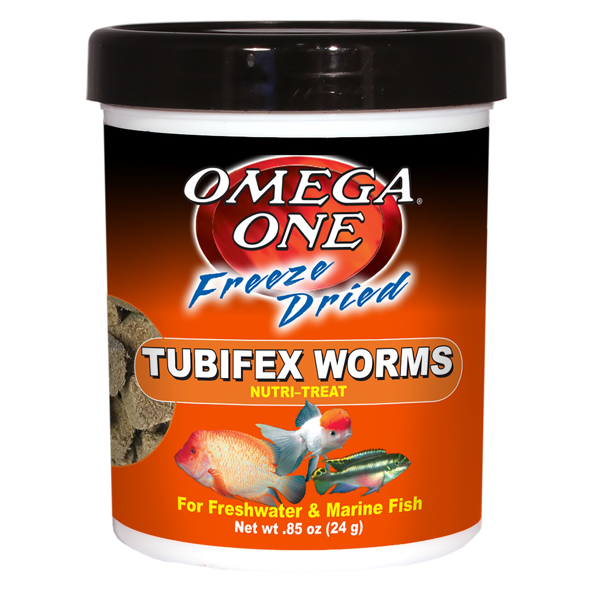 dry worms fish food