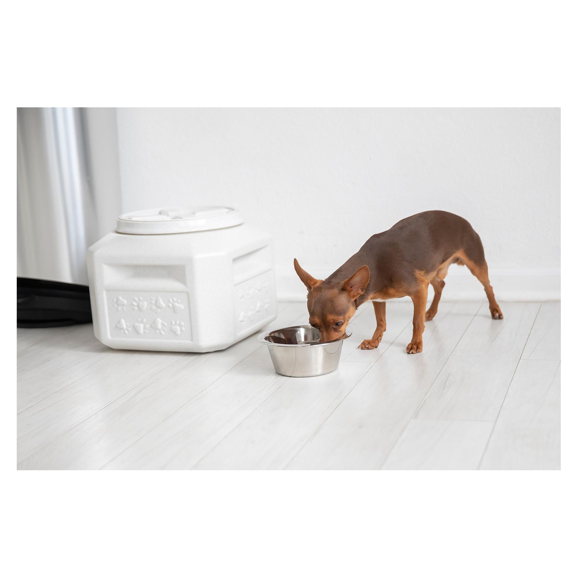 26 lb dog food container best sale