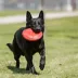 KONG® Flyer Dog Toy image thumbnail 2